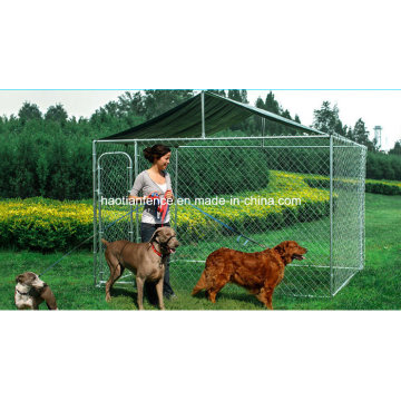 Chain Link Outdoor Dog Kennel avec toit pour gros